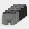 Pier One 5 Pack - Culotte -Black/Mottled Dark Grey