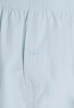 Pier One 5 Pack - Boxer- Light Blue/White -Negozio online Pier One Italia 8d526a81d413439291c57bcecfa7d443 scaled